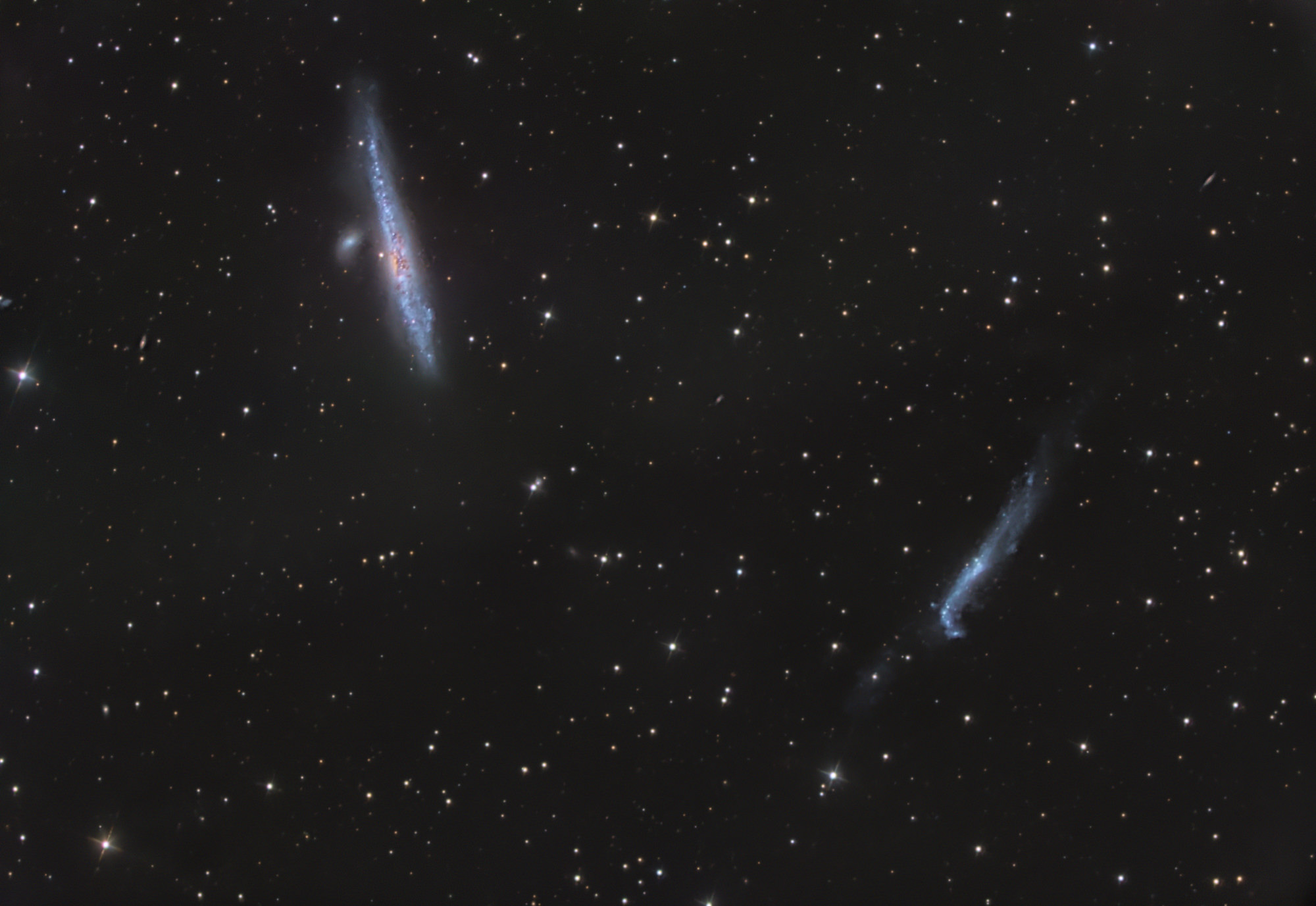 NGC 4631 alias Walgalaxie links und NGC 4631 rechts sind Balken Spiralgalaxien im Sternbild Jagdhunde